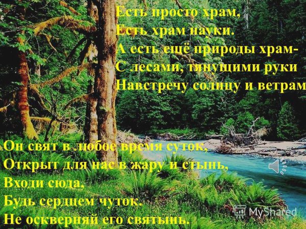 Стихи о мой храм это лес..