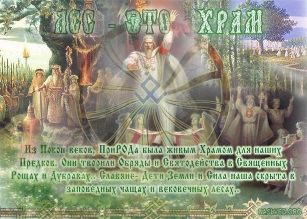 Храм в лесу