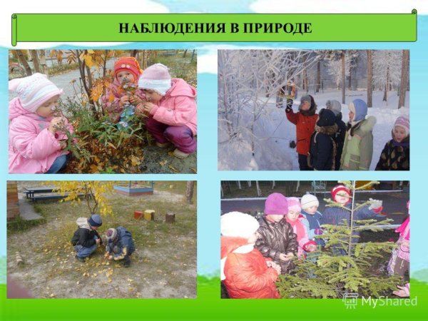 Наблюдение в природе ДОУ