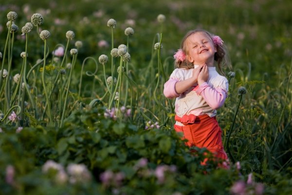 Лето дети природа