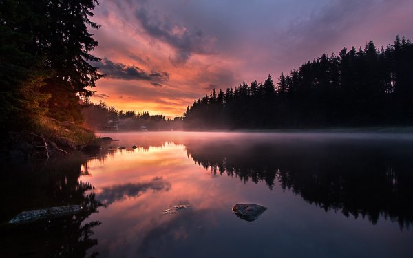 Лес река рассвет