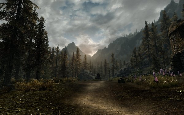 The Elder Scrolls пейзажи скайрим