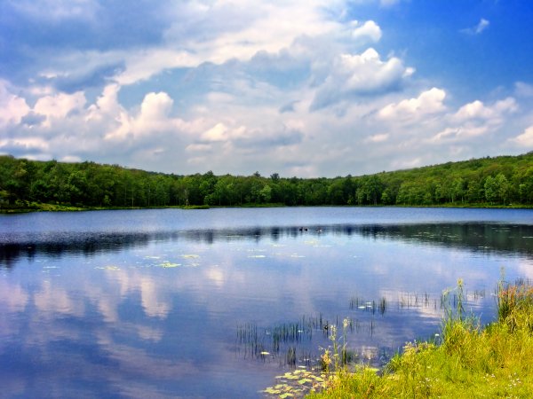 Озера реки пруды водоемы