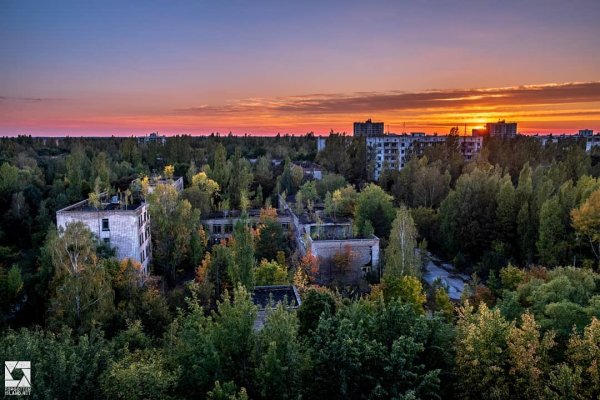 Природа города Припять