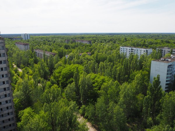 Припять зона отчуждения 2021