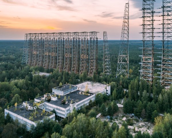 Желтый лес Припять