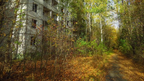 Припять 2007