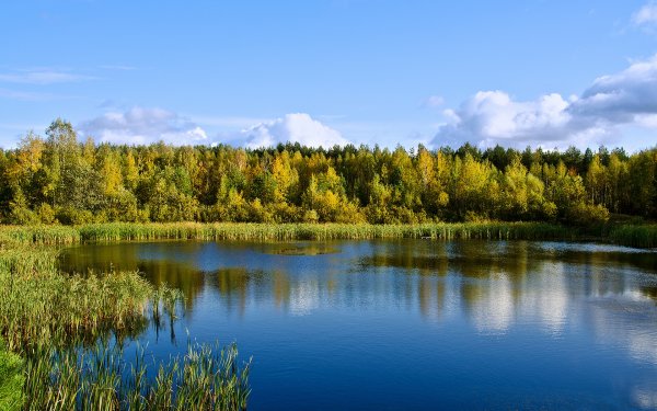 Леса и водоемы России