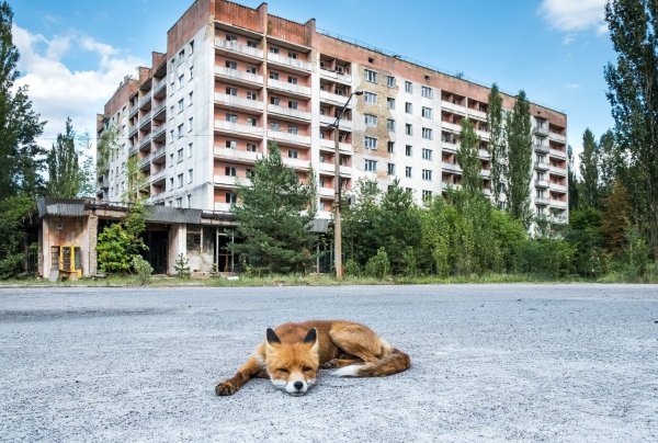 Припять город призрак