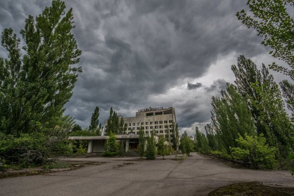 Чернобыльская АЭС рыжий лес