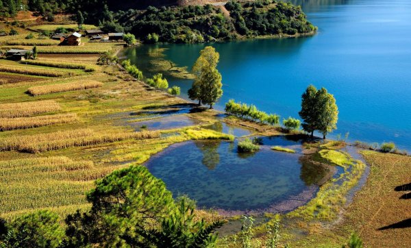 Природные водоемы