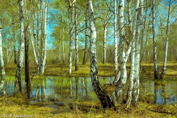 Март в лесу