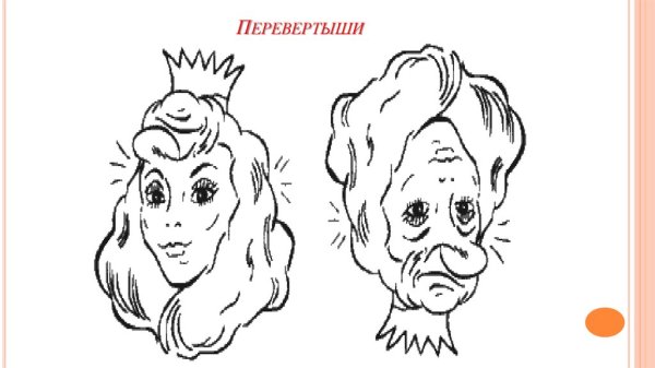 Портрет перевертыш