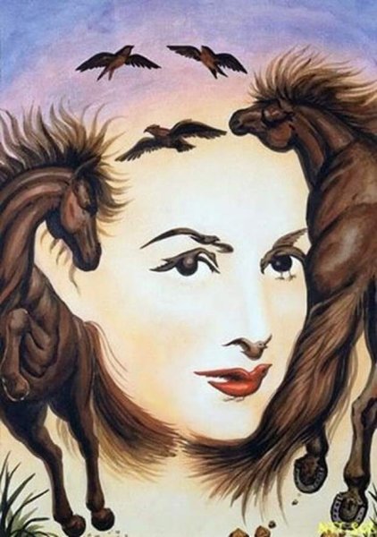 Рисунки перевертыши
