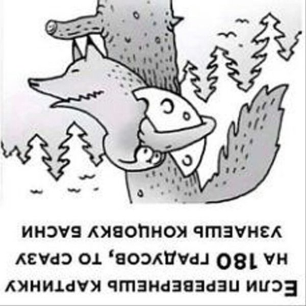 Картинки перевертыши