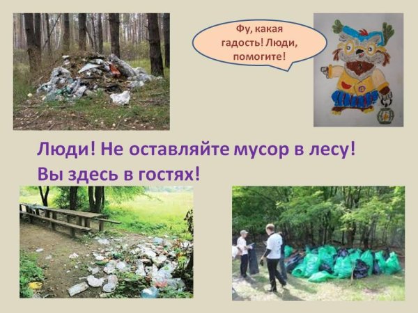 Почему нельзя мусорить в лесу для детей