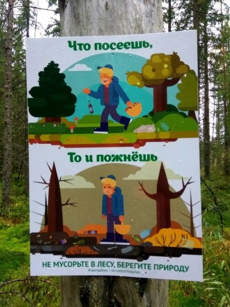 Экологический десант