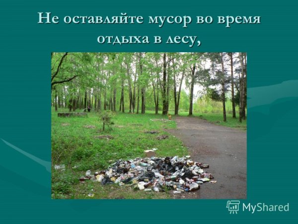 Неправильное поведение в лесу
