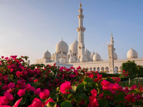 Абу-Даби мечеть шейха Зайеда