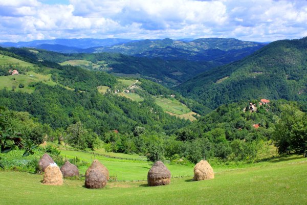 Златый Бор Сербия