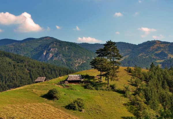 Златибор Сербия