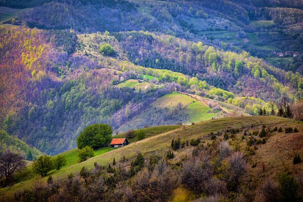 Грабовице, Сербия