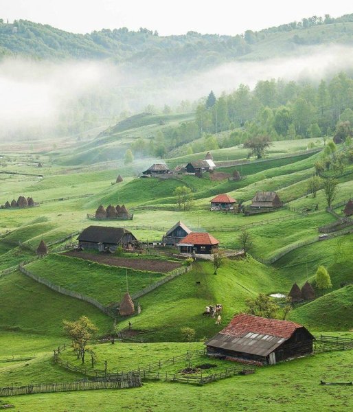 Карпаты Буковина