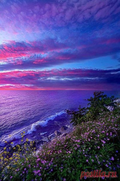 Яркая природа