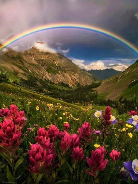 Яркая природа