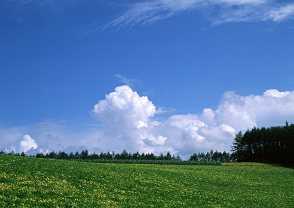 Небо Горизонт