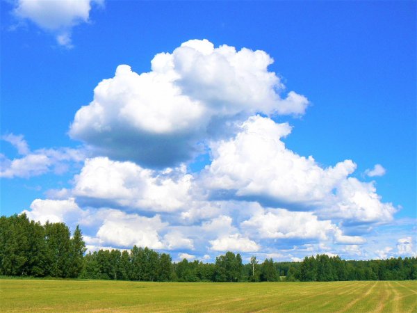 Летнее небо с облаками