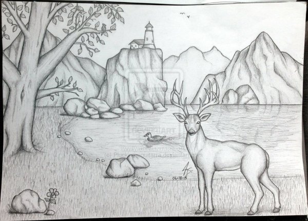 Рисунки карандашом природа
