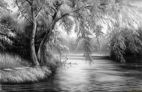 Рисунки для срисовки природа