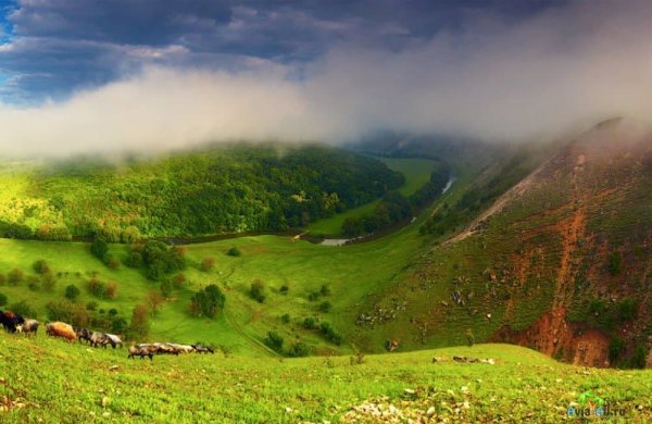 Молдова природа
