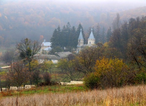 Молдавия река Днестр