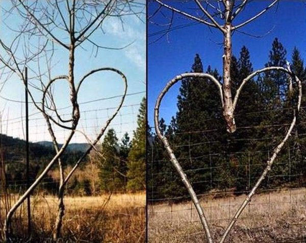 Таинственные облака