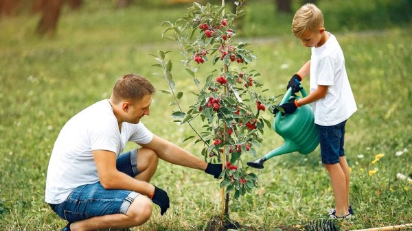 Ухаживание за природой детьми