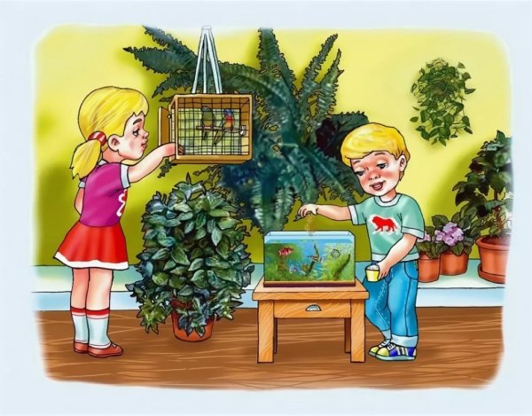Полив комнатных растений