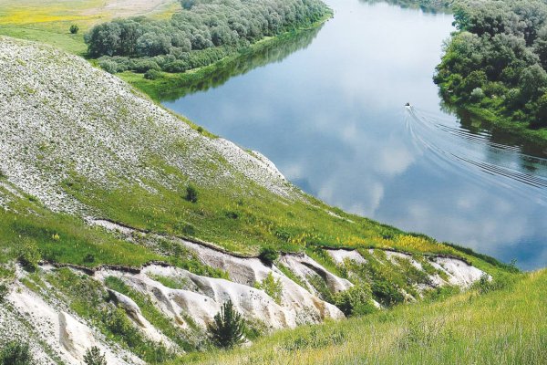 Меловые горы Белгородская область