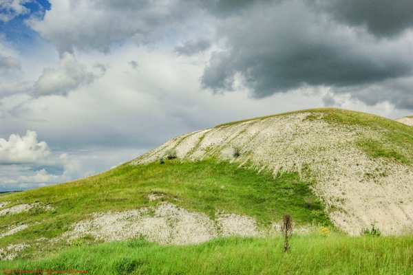 Меловые холмы Белгородской области