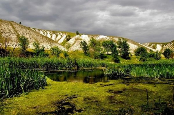 Белогорье Белгородская область