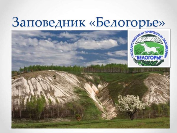 Заповедник Белгорода Белгородской