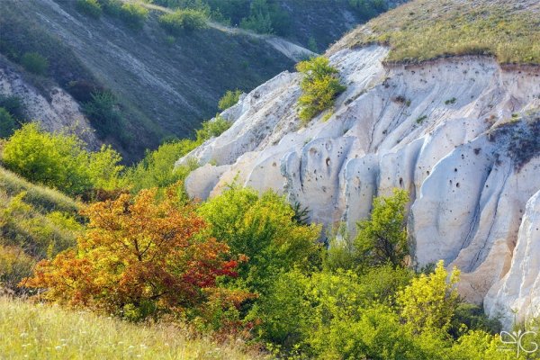 Меловые горы Дивногорье Воронежской