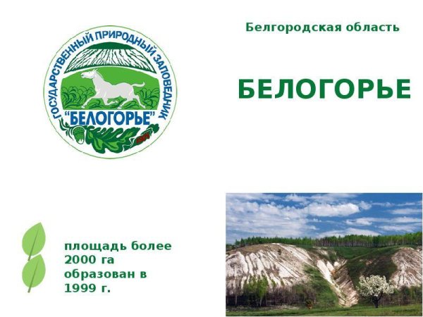 Заповедник Белогорье в Белгородской области