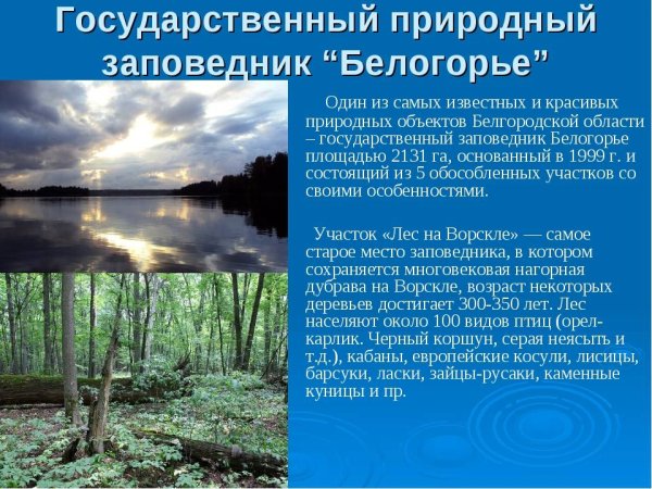 Заповедник Белогорье в Белгородской области