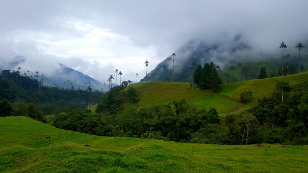 Каньо Кристалес