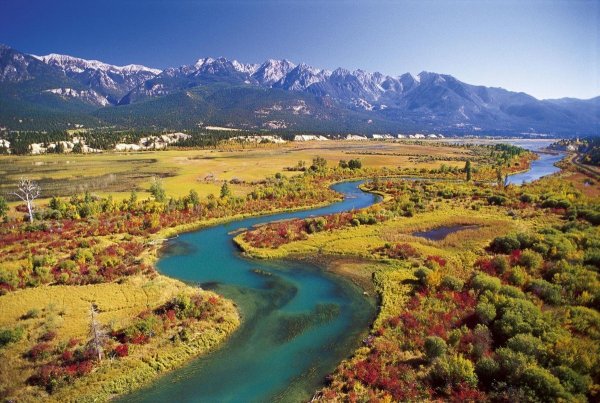 Камни в реке