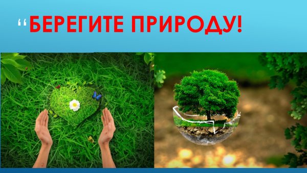 Берегите природу