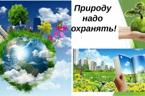 Беречь природу значит любить родину