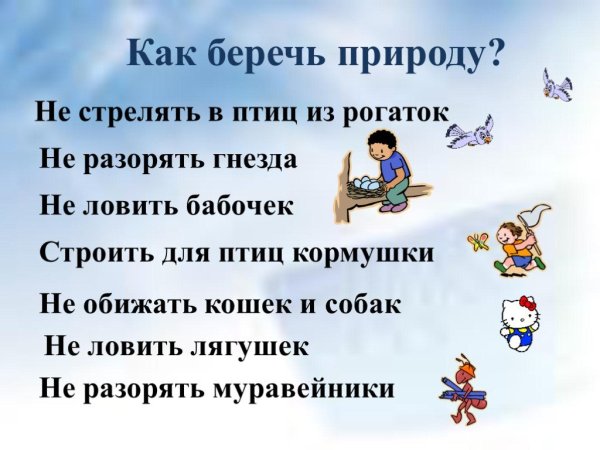 Презентация на тему природа